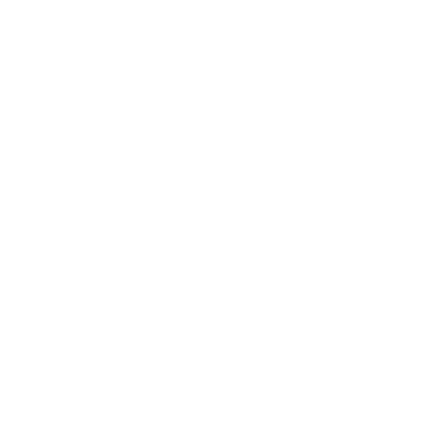 Icon of house